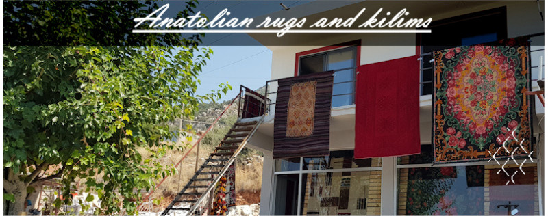 Anatolian Rugs